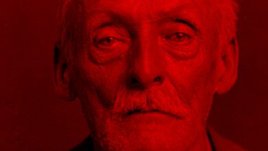 Bild von Albert Fish – The Brooklyn Vampire – The Grey Man