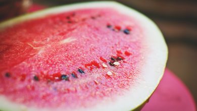 Bild von HIV In Watermelons