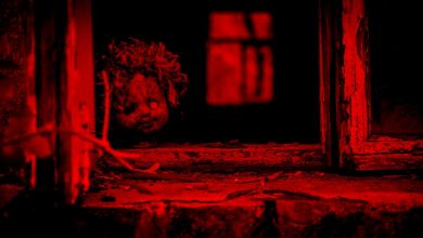 Bild von Hide and Go Seek Alone – Verstecken mit einer Puppe