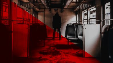 Bild von 10 unglaubliche Horrorfakten | Das Blut wird dir in den Adern gefrieren