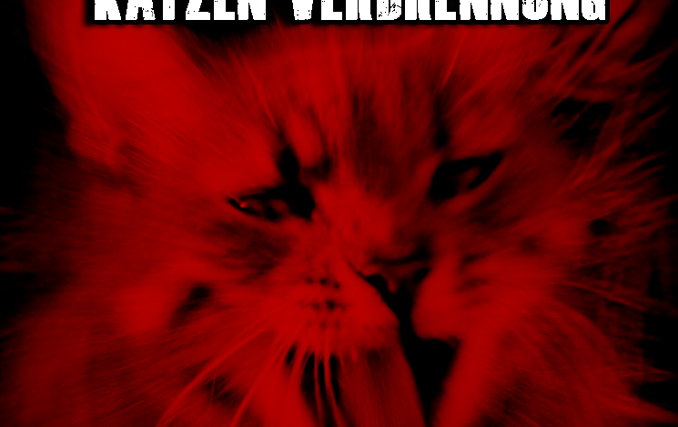 Bild von Katzen Verbrennung – Festival mit Katzen-Scheiterhaufen