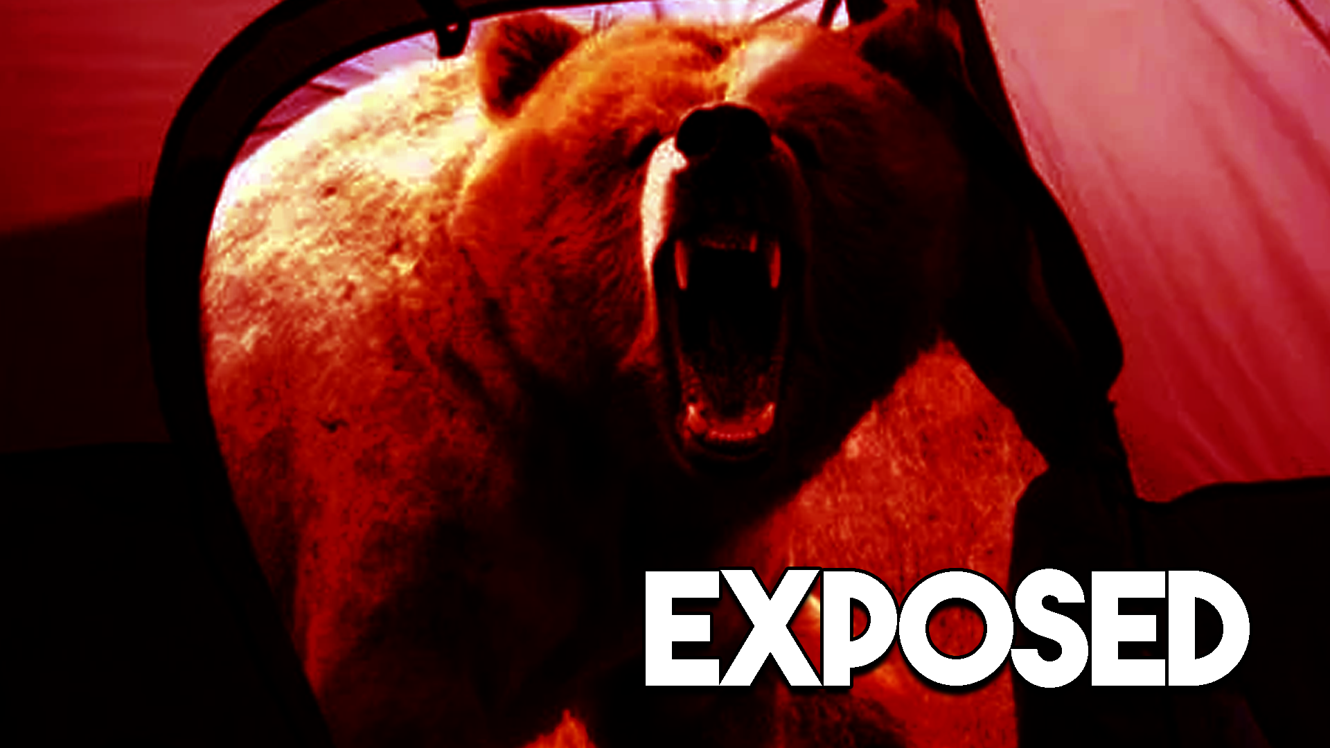Bild von Das letzte Bild von Michio Hoshino – Der FAKE – Exposed